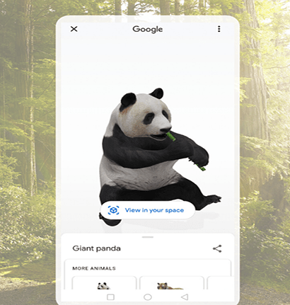 Google Search a giant panda