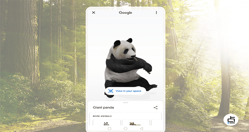Google Search a giant panda