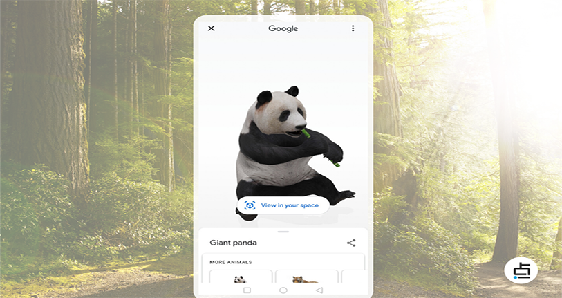 Google Search a giant panda